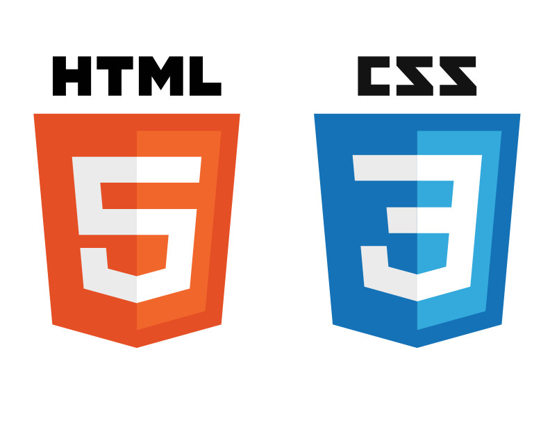 The Basics of HTML and CSS - What You Need to Know