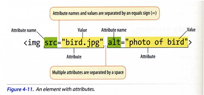 Types of HTML Attributes